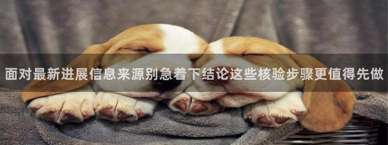 网络热点爆料网