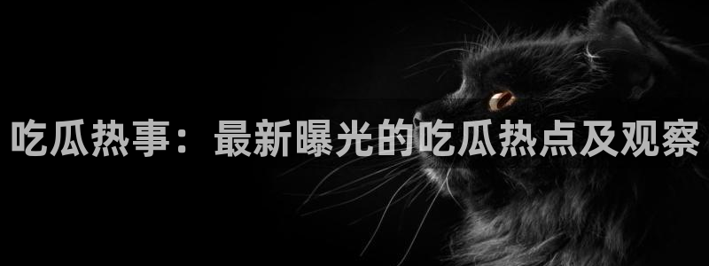 黑料爆料网站导航
