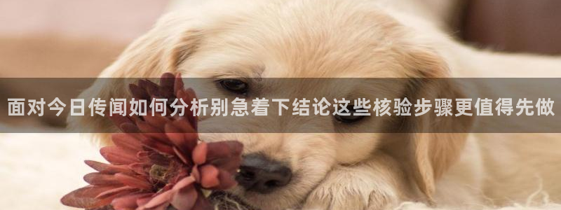 热门资讯动态