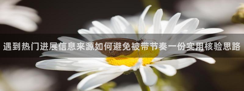 黑料爆料热点榜:遇到热门进展信息来源如何避免被带节奏一份实用核验思路
