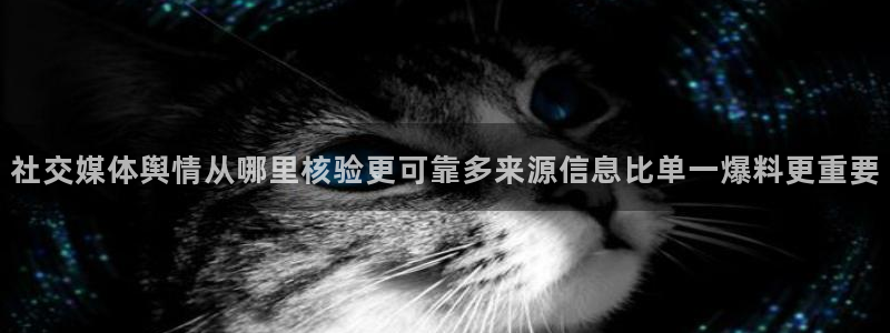 热点事件排行：社交媒体舆情从哪里核验更可靠多来源信息比单一爆料更重要