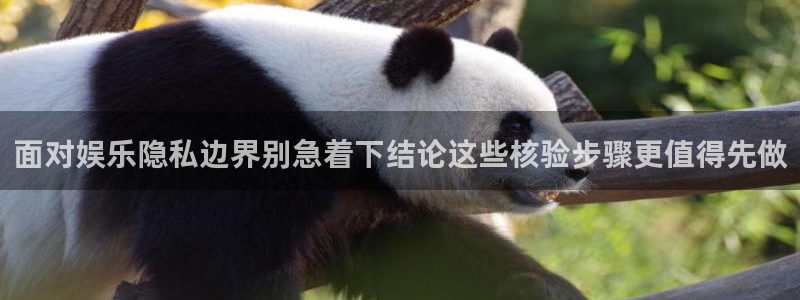 黑料今日资讯：面对娱乐隐私边界别急着下结论这些核验步骤更值得先做